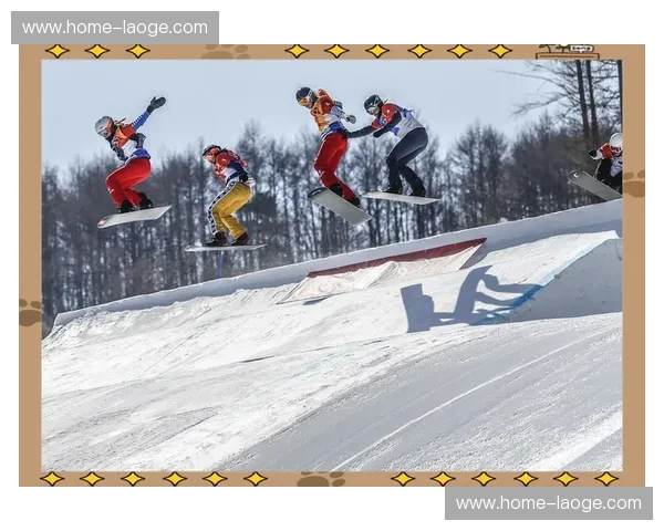 老将林赛·雅各贝利斯冲击奖牌 单板滑雪战术经验丰富